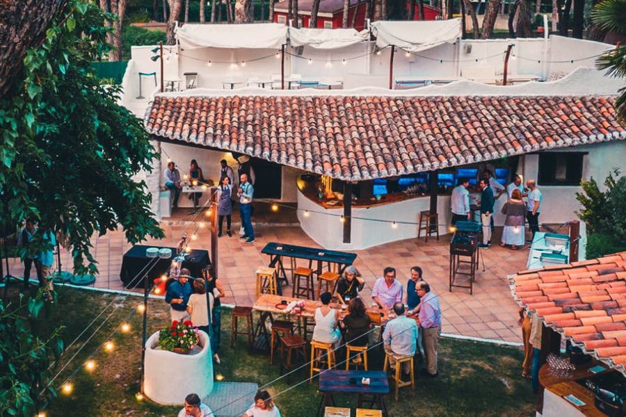 Damaso restaurante - Valladolid